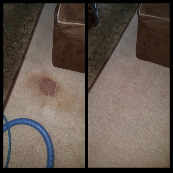 Wall2wall Steemers Carpet Cleaning