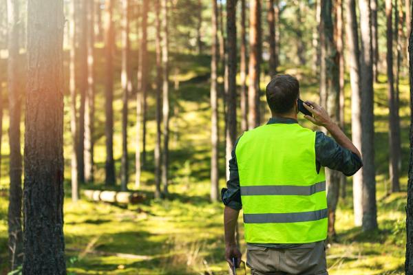 Tree Masters