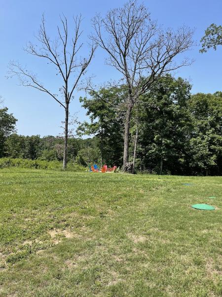 Arteaga's Tree Service