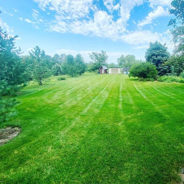 Nebrascut Lawn Care & Irrigation