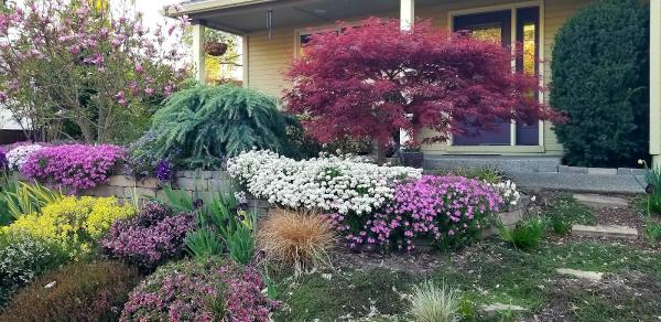 Naturescape Designs