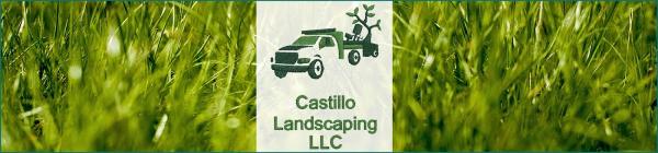 Castillo Landscaping Services