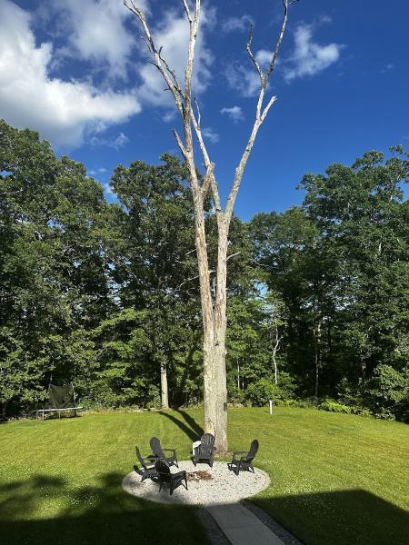 Stateline Tree Works