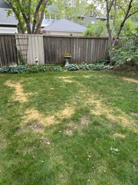 Rainbow Lawncare