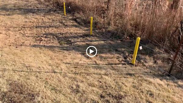 Delta Fencing and Repairs LLC