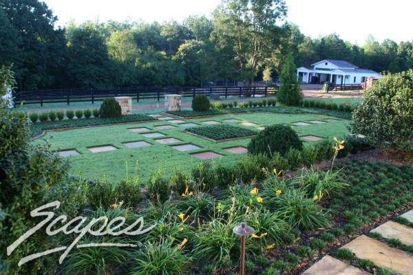 Scapes