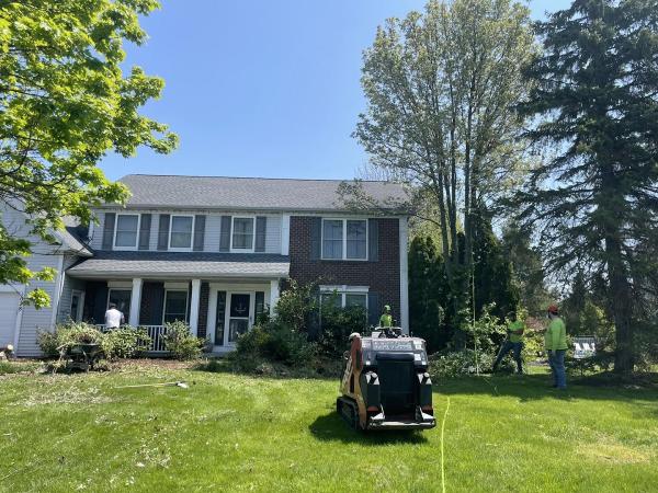 K&C Rochester Tree Service