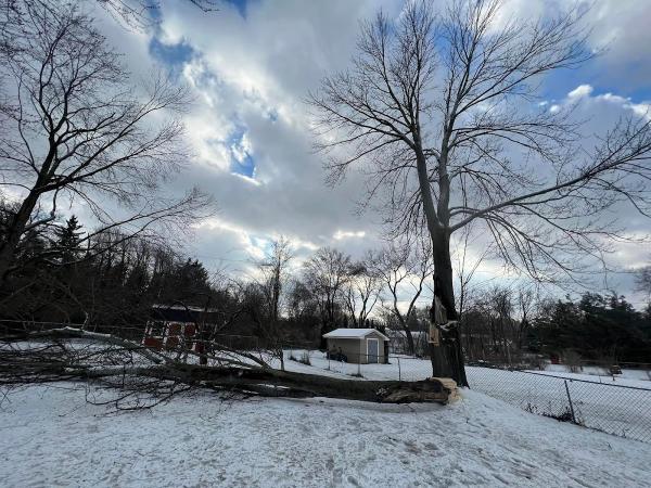 K&C Rochester Tree Service