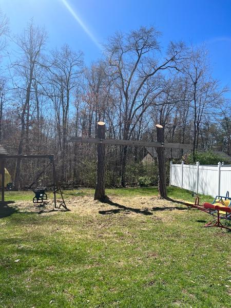 Smoky Mountain Tree Service