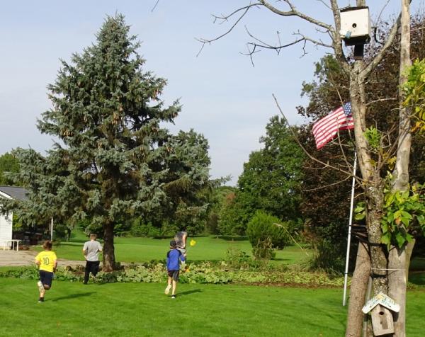 Back To Nature Lawn Care