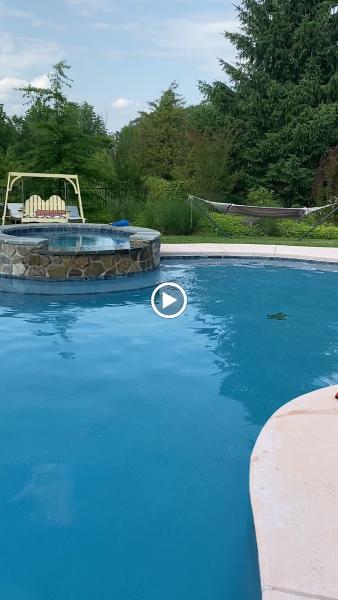 Splish N Splash Pool Service