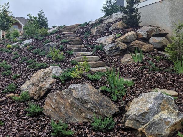 Sokol Landscaping