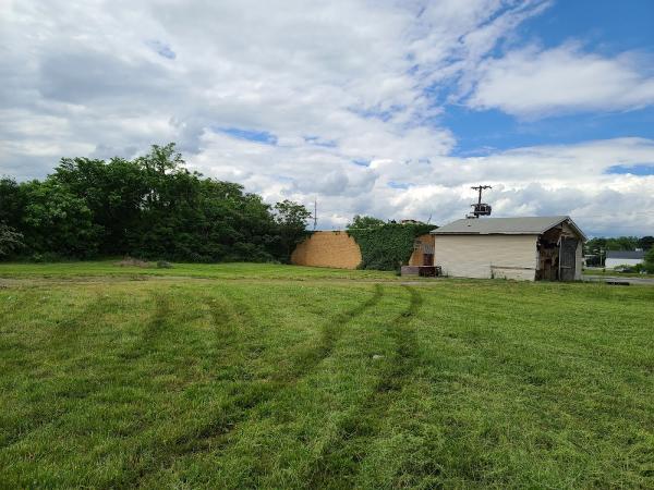 Lawn Improvement