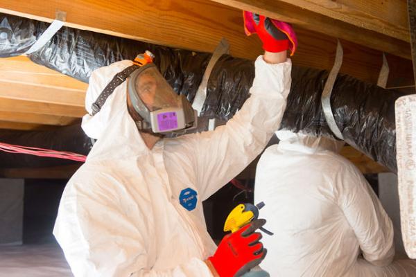 Hero Mold Removal