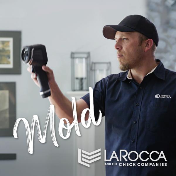 Moisture & Mold Check