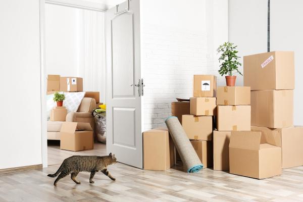 American Fargo Moving & Storage
