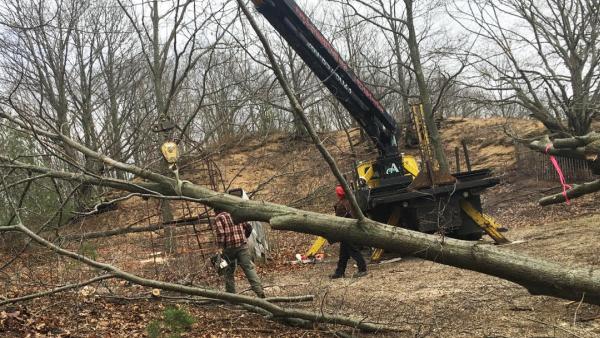 A Cut Above Tree Care!