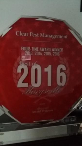 Clear Pest Management