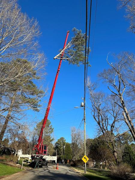 North Raleigh Tree Service