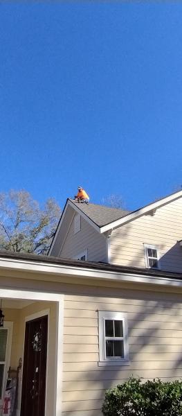 Lowcountry Roof Repairs