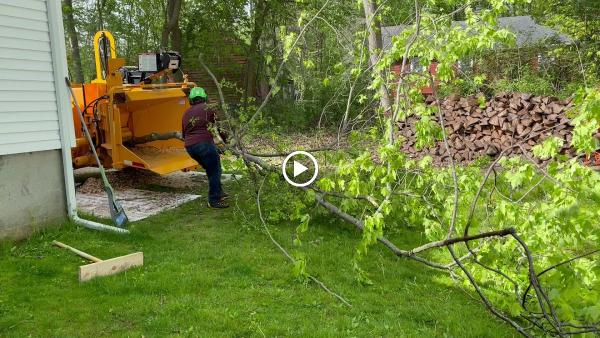 JPS Tree Services LLC