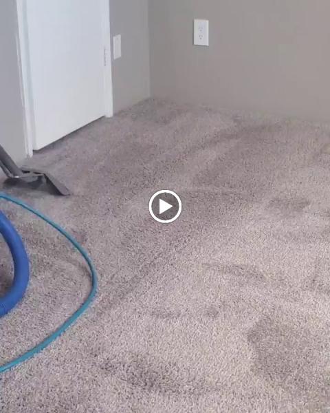 Dial Carpet Cleaning and Maintenance
