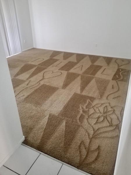 Dial Carpet Cleaning and Maintenance