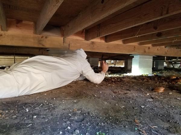 Before You Buy Inspection Services