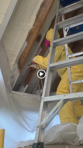 AAA Dry Foam Professional Cleaning