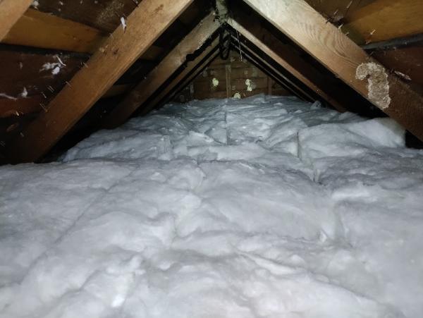 Expert Skilled Attics and Crawls