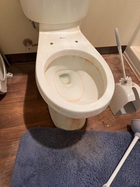 Four Seasons Cleaning Services and Maintenance