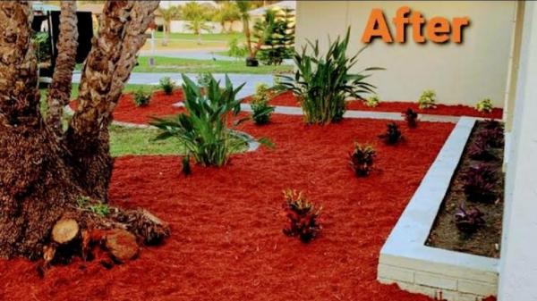 Clean View Tree Services SW Florida INC