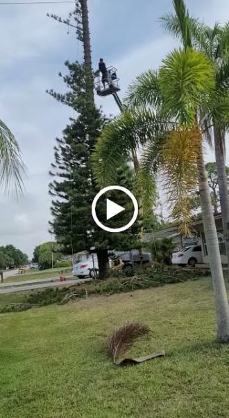 Clean View Tree Services SW Florida INC