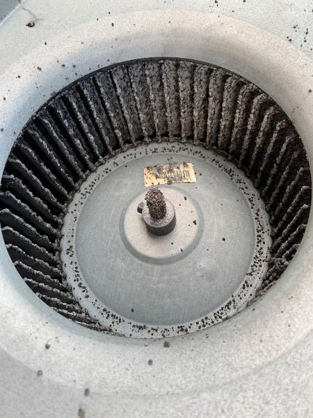 Instacure Mold Remediation