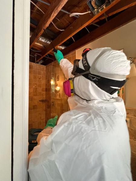Instacure Mold Remediation