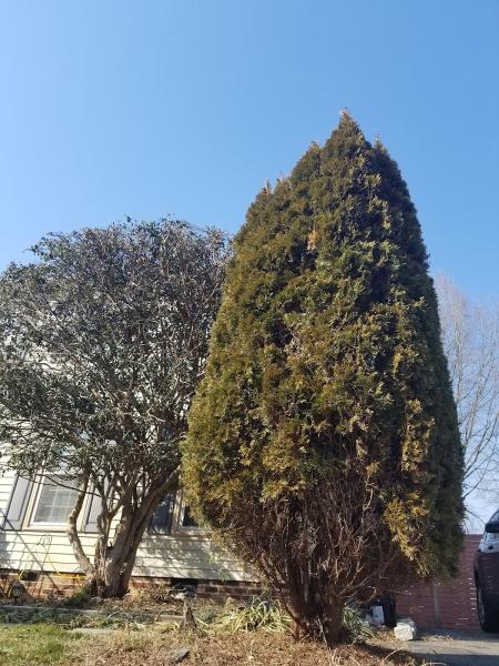 Farpoint Arboriculture LLC