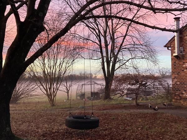 Farpoint Arboriculture LLC