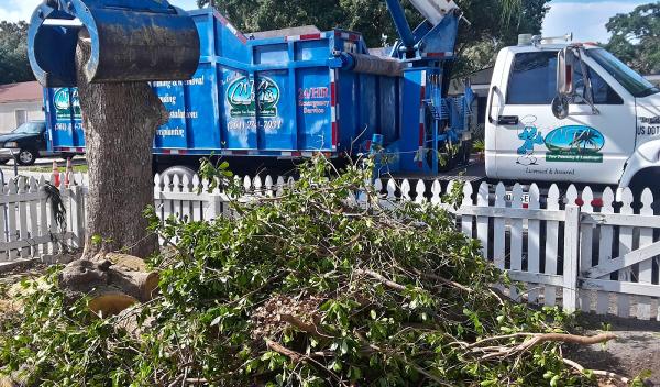 Ck's Tree Service