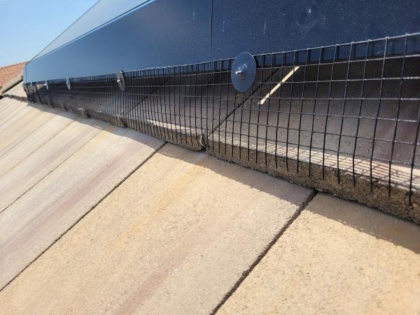Rodent Proof