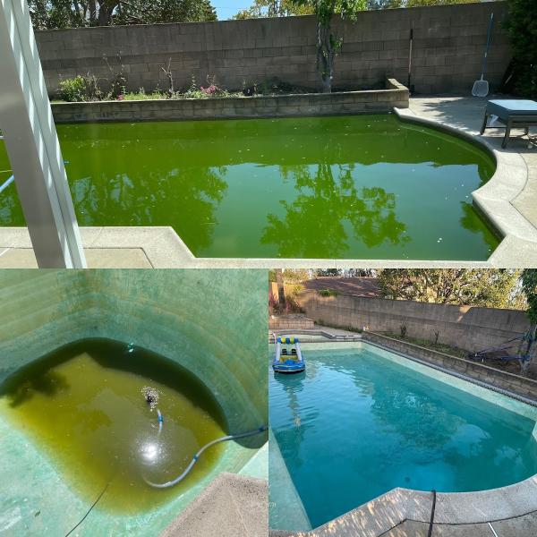Trueblue Pools License #1111489