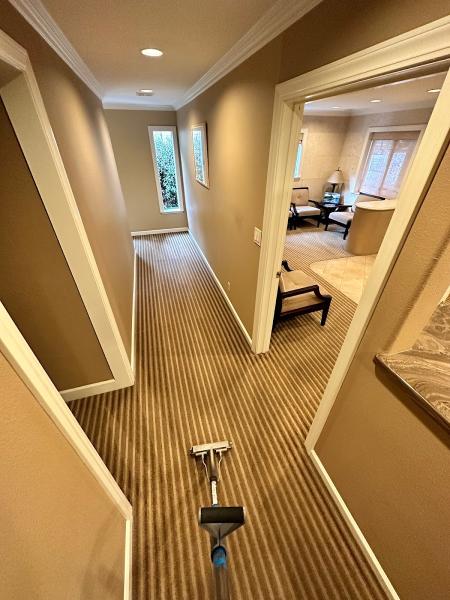 Limitless Carpet Cleaning
