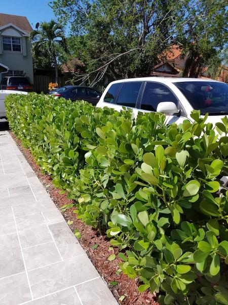 K-Diaz Landscaping Inc