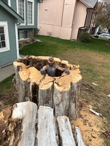 Over the Top Tree Service LLC