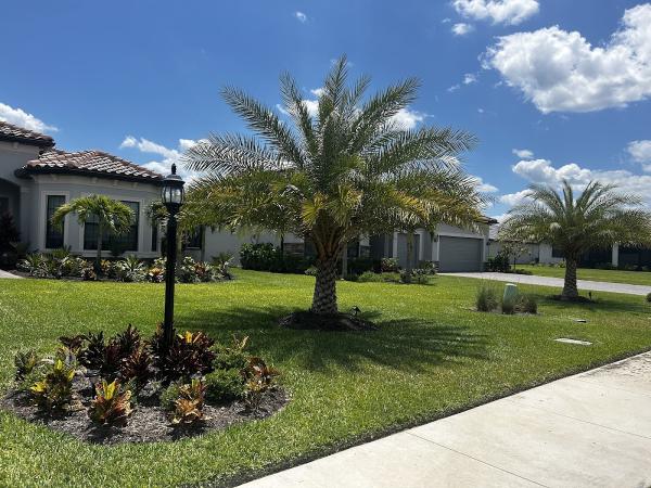 Sunny Grove Landscaping & Nursery