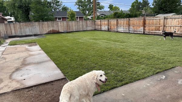 Affordable Sprinkling-Landscape Inc.
