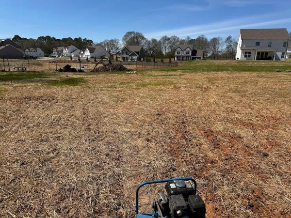 Deeply Rooted Lawn Maintenance