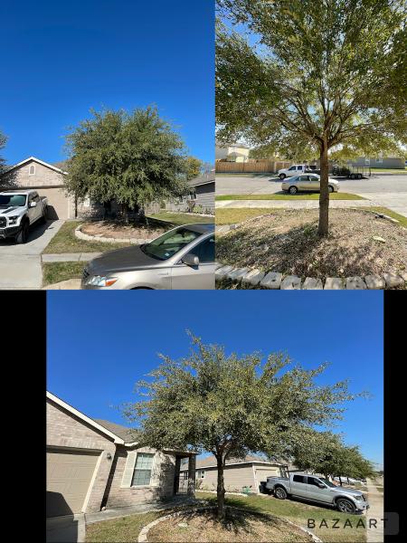 Trejo Landscaping