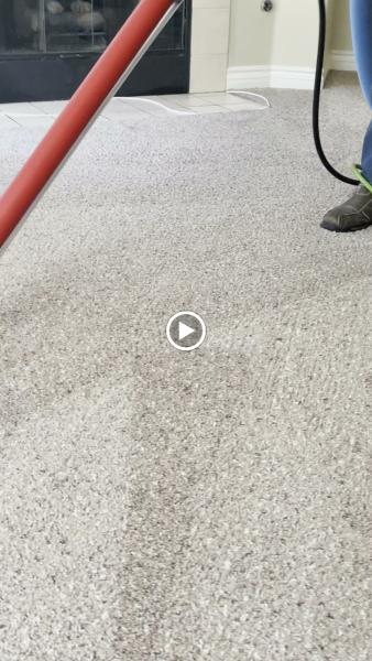 JC Steemers Carpet Cleaning