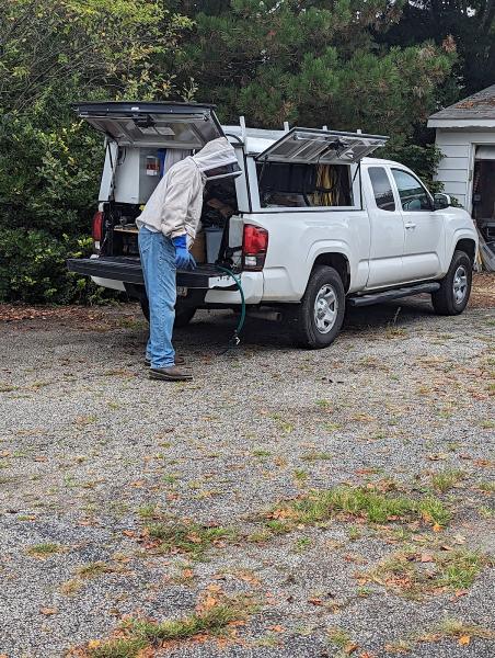 Cleveland Bee Removal