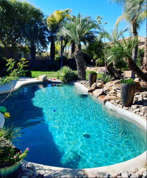 Paradise Pool